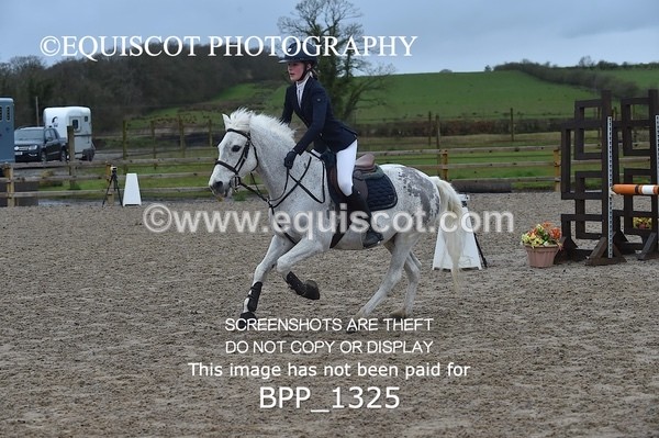 BPP_1325 - CLASS 5 Pony BritiNovice / 0.80m Open