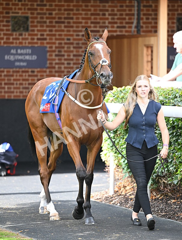 220826-192 Real Dream - Race 4 15.35pm Sky Bet Ebor Handicap
