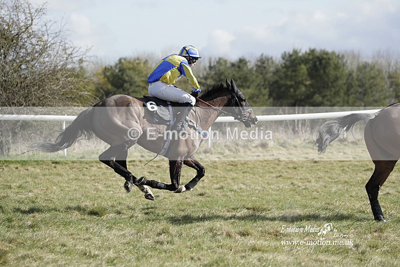 PtP 260223 322 - South & West Wilts Point-to-Point Larkhill 26/02/23