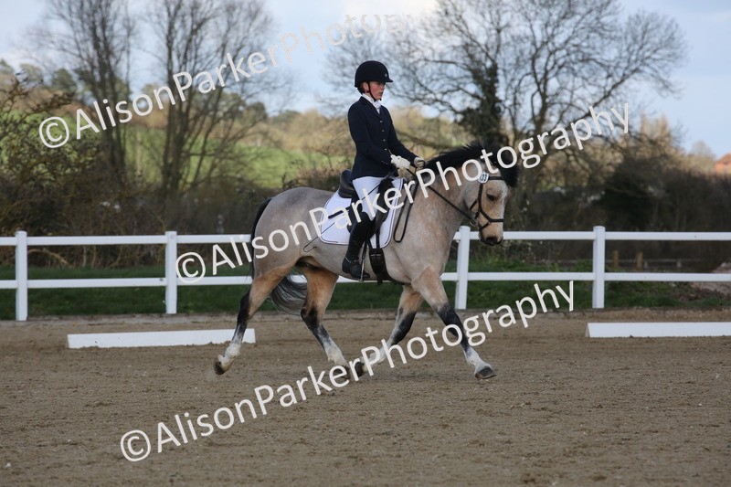 20260314-5194 - DR6 - Novice 2