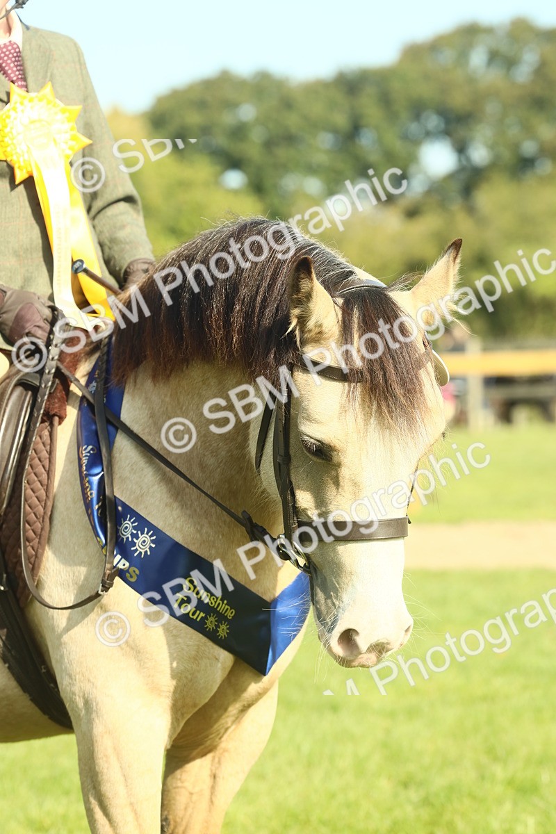 SBM_61109 - Starter Supreme Championship