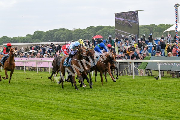 150525-Old Cock-4064 - Race 2 2.42pm Oakmere Homes Hambleton Handicap