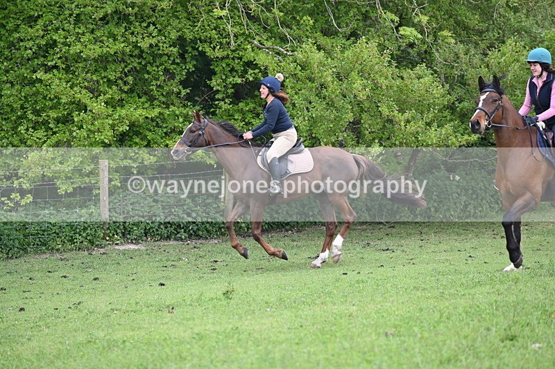 WJ6_3094 - A camera
