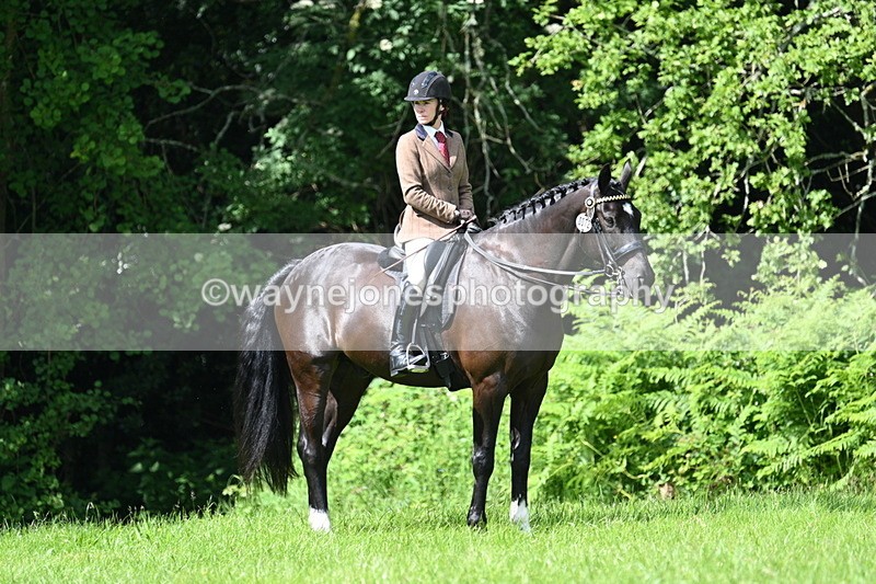 WJ7_1234 - Class 11 Condition & Turnout