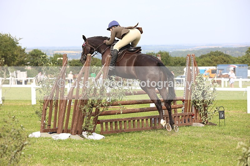JPP_4222 - Class 25: Working Show Horse