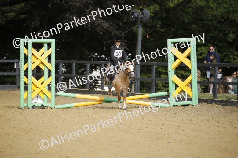 20250622-1239 - 40cm