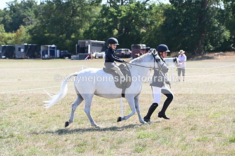 WJ6_7772 - Class 36 Lead Rein