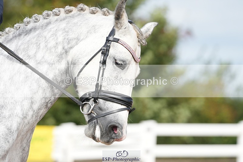 250906-102620-01244 - 029-Emma.DairCastle.Ellis.Esmeralda