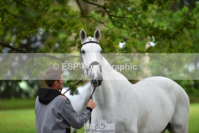 240522-172422-01581 - 285-CHF_BALLYTURN_BRILLIANT-Pascal_Van_moort