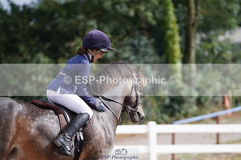 240809A-100112-00401 - Dressage Competition
