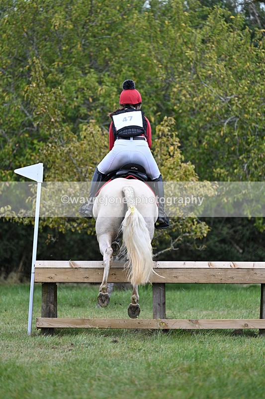 WJ7_8412 - 80cm XC Time 15:45 to 16:02