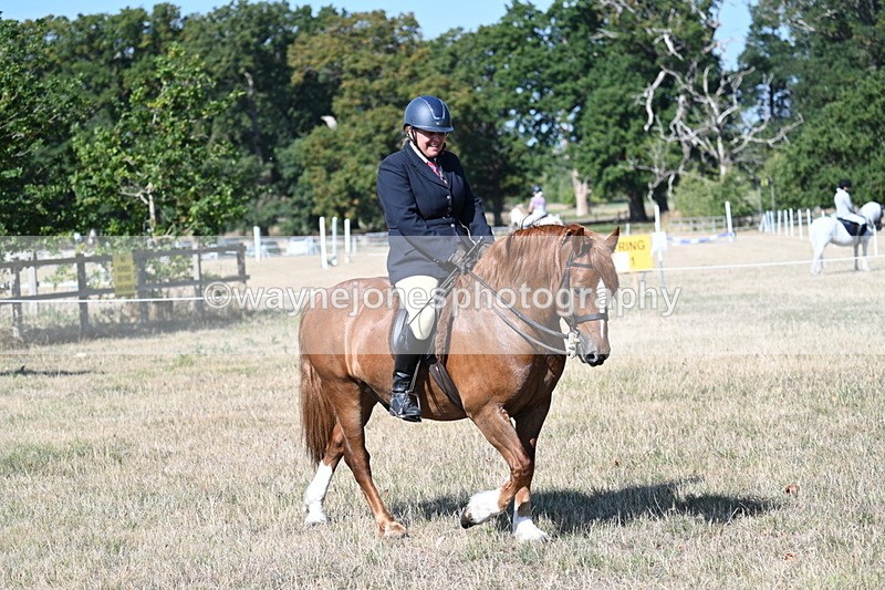 WJ7_3501 - Class 9 Mountain & Moorland Ridden