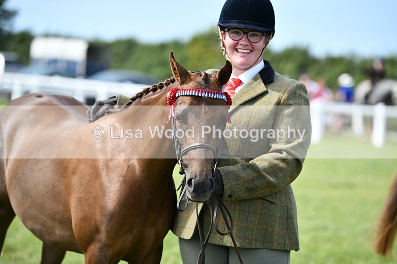 DSC_8407 - Class 68: Part Bred In Hand M & M