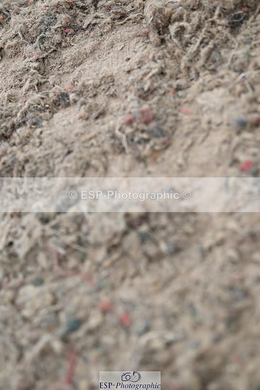 240609A-105333-04190 - Cls 22 Pony Discovery 2nd Round