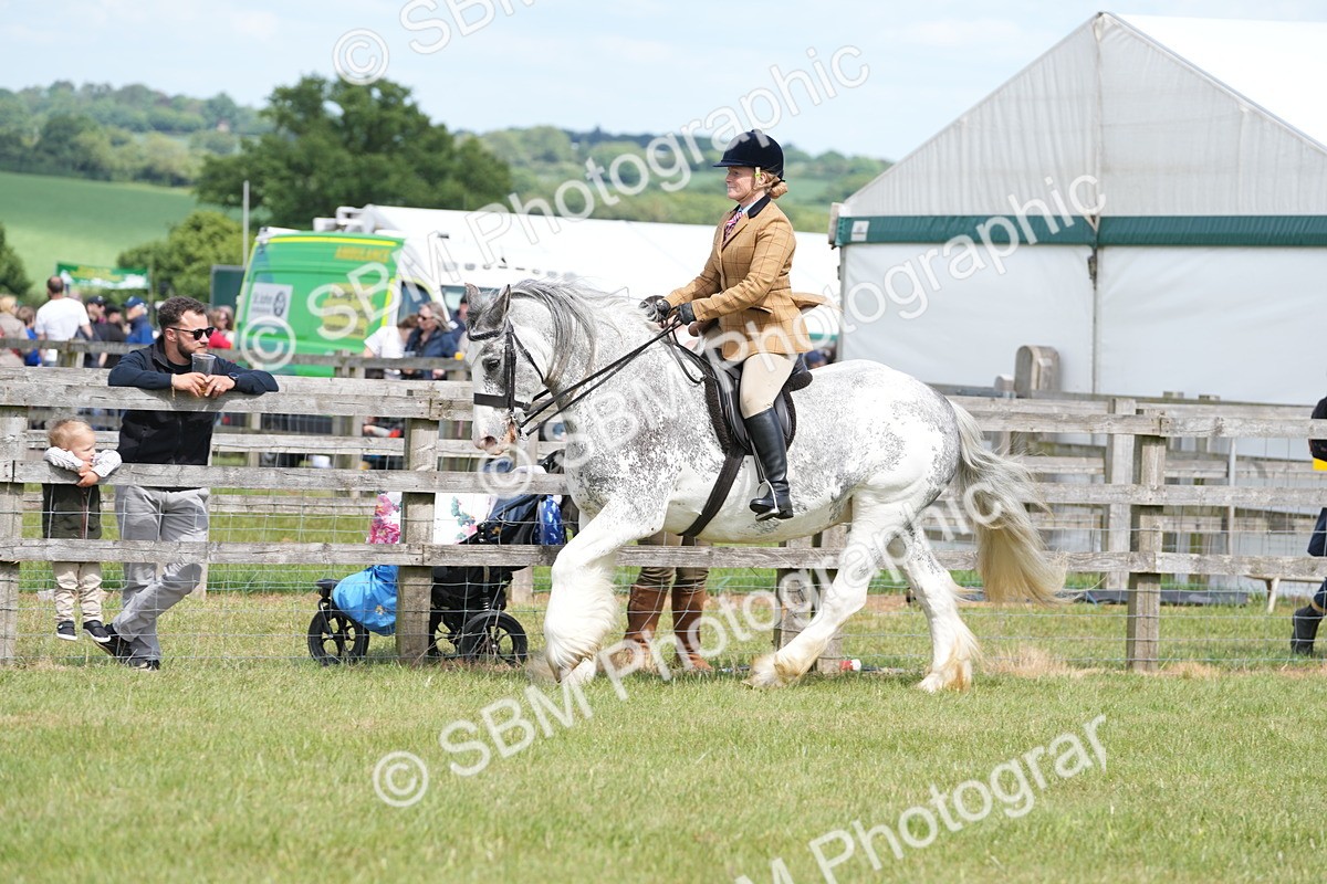 SBM_17171 - Class 107-108 - LIHS BSPS Performance Coloured Horse Pony
