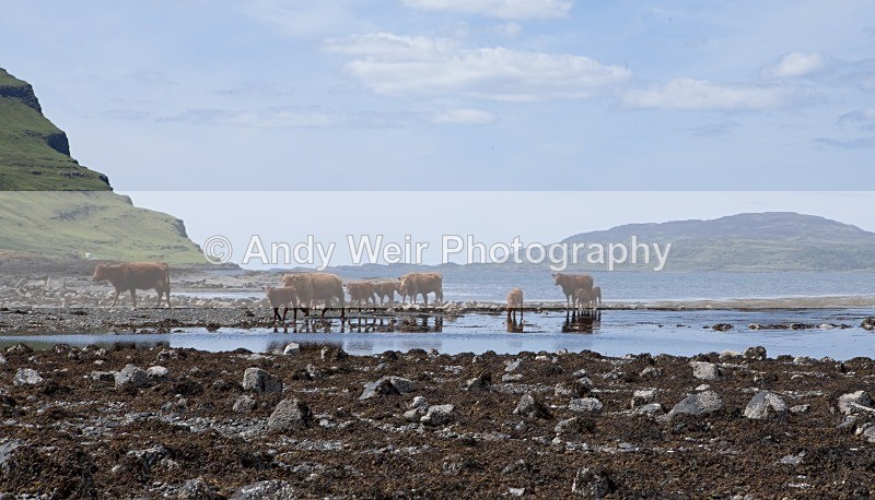 20120602-_MG_0284 - Scotland
