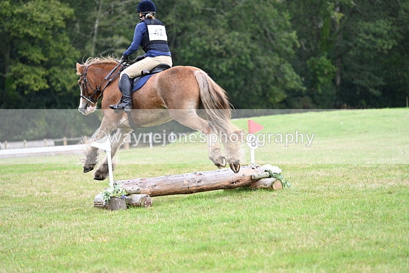 WJ7_7721 - 40cm Time 10:49 to 11:18