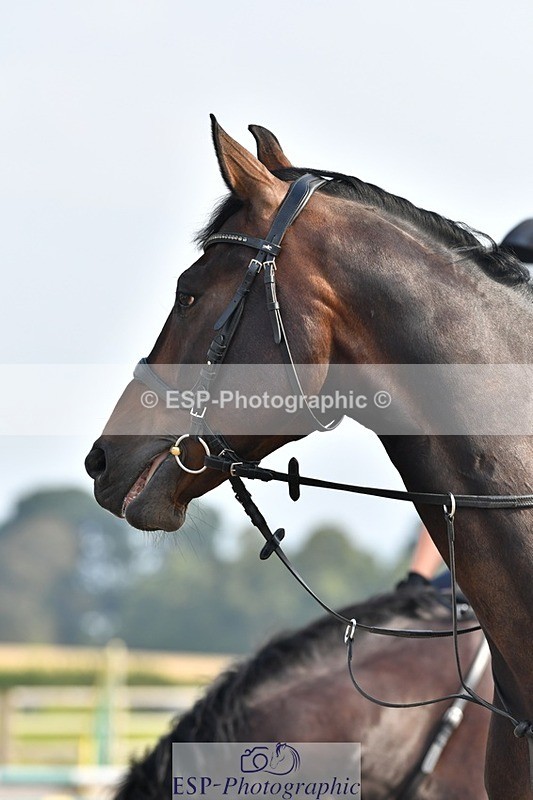 230817-100644-02626 - Abbie's 2nd Group - Arena