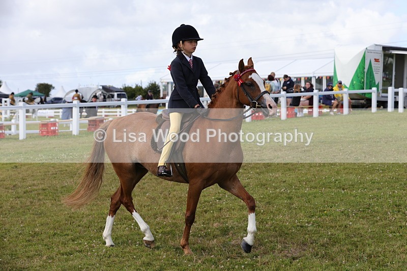 1X9A3910 - Class 31: Show Pony 148cm and under