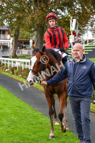 131023-Race 4-Hafeet Alain-9579 - Race 4 3.50pm William Hill Autumn Mile Handicap