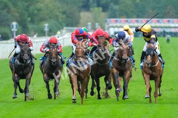 080925-Race 2-Alzahir-7795 - Race 2 3.00pm Sky Bet Super Sub Sprint Handicap