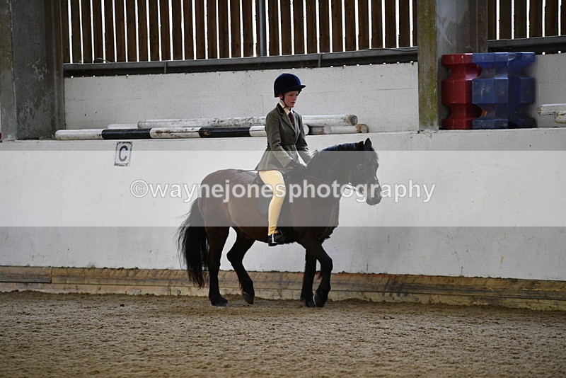 WJ5_6506 - Class 10 Childs Pony