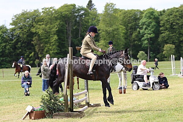 IMG_3134 - Working Hunter