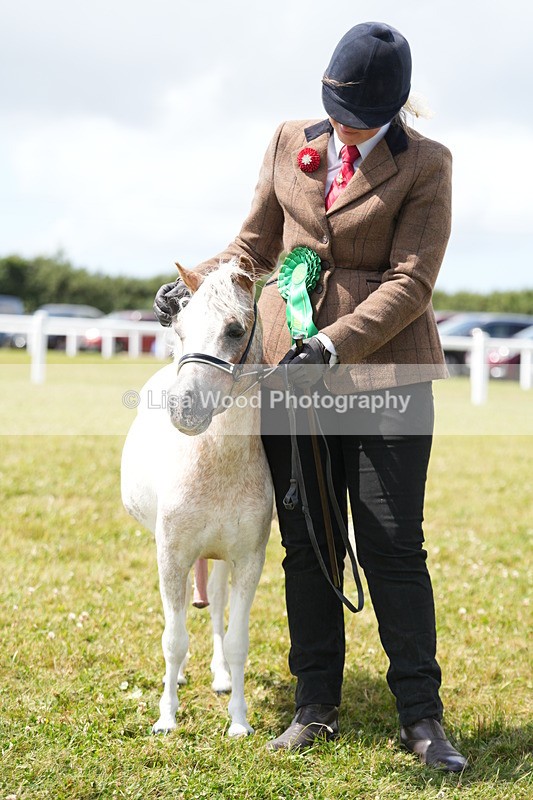 DSC06973 - Class 60: Coloured Pony 4yrs & over