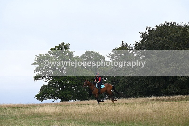 DSC_0468 - Time at Statue 09:51 to 10:54