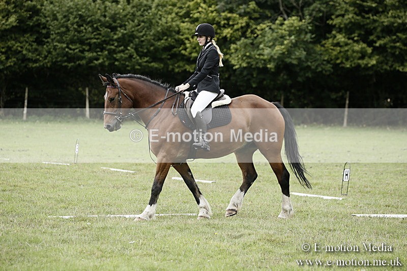 BVR080918 29 - BVRC Novice Dressage & CR 08/09/18