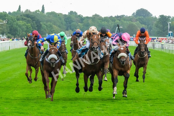 080925-Race 3-Rock N Roll Pinkie-8476 - Race 3 3.30pm Skybet Proud To Support ROR Stayers Handicap