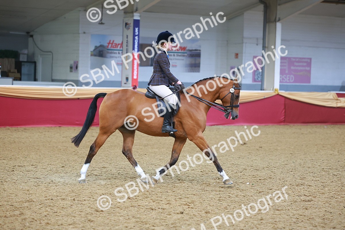 SBM_12544 - Class 103 - HOYS Veteran Qualifier - Ridden Pre Vet