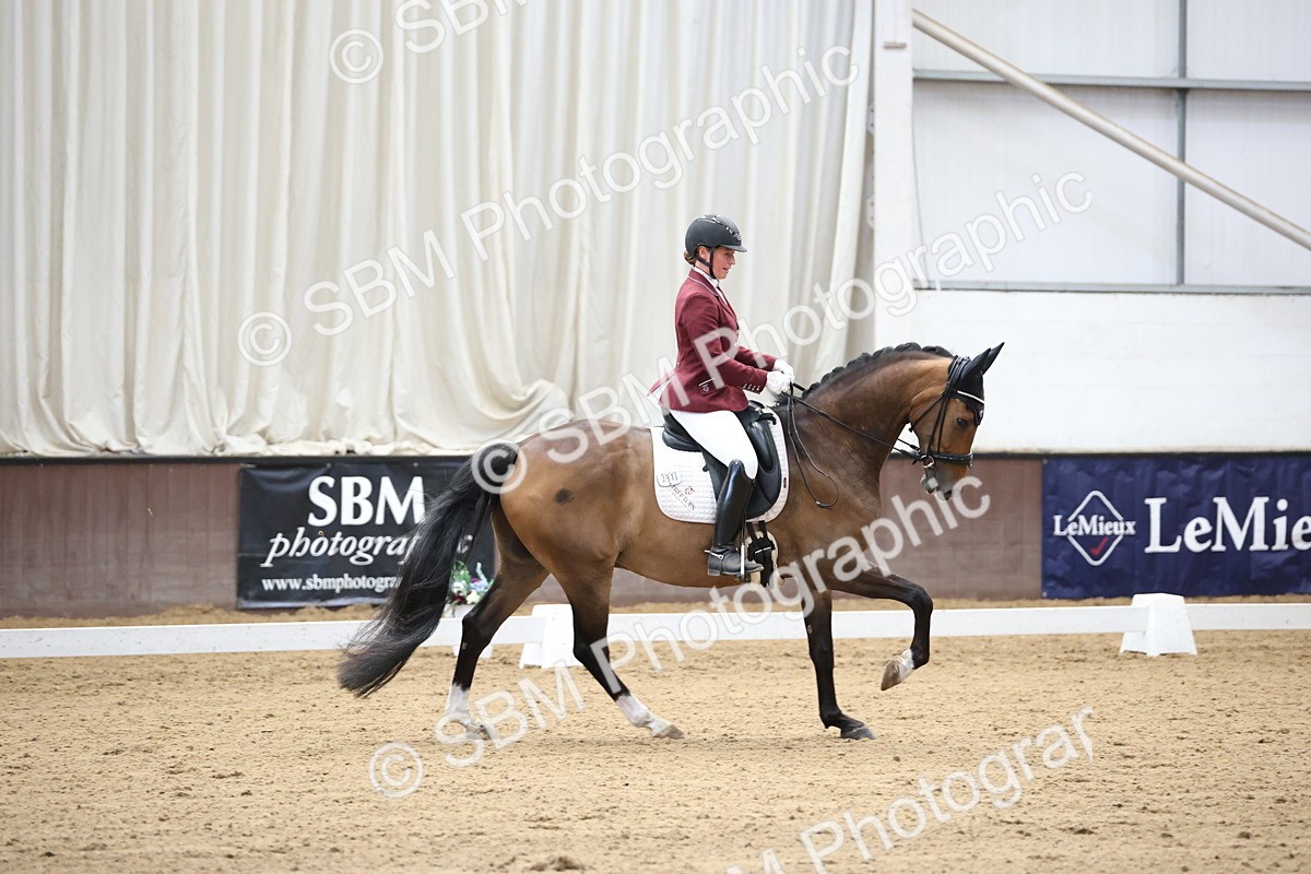 SBM_002166 - Class 5 - Novice 6 Gold - 9.00-10.10