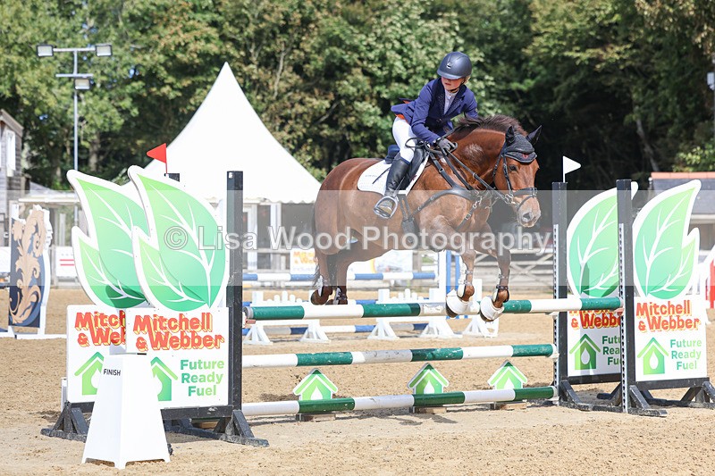 3E7A9326 - Class 9: Senior British Novice/90cm open