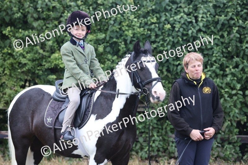 20250831-2410 - Class 16 - Family Pony