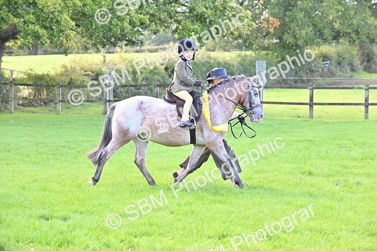 SBM_36533 - S18 - Novice & Newcomer Lead Rein Pony