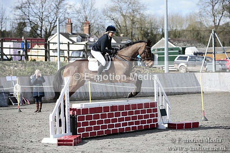 BVRC SJ 170319 571 - Bourne Valley Riding Club Showjumping 17/03/19