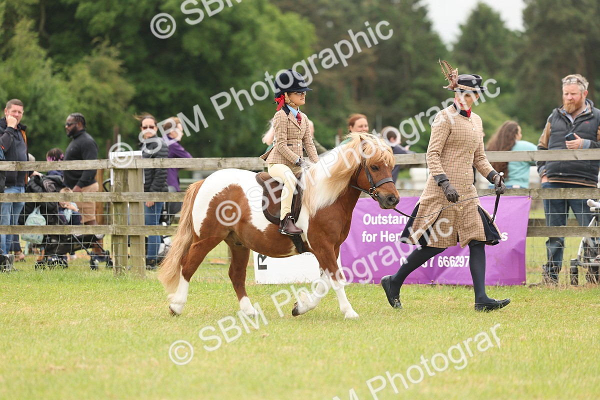 SBM_06687 - Class 74-75 - M&M Lead Rein and First Ridden Pony