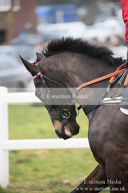 PtP 170219 -384 - Combined Services Point-To-Point Larkhill 17/02/19