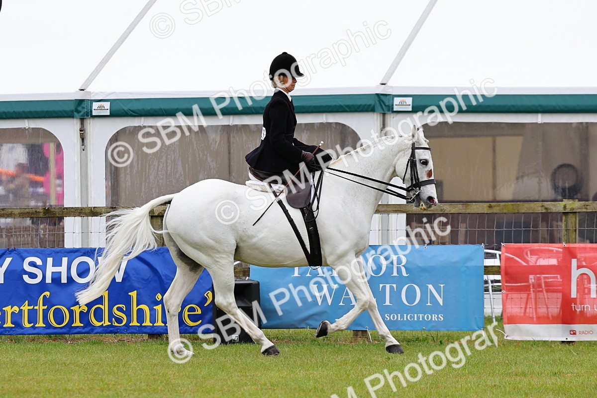 SBM_02742 - Class 9-11 Side Saddle including LIHS Rising Star Ladies Show Horse