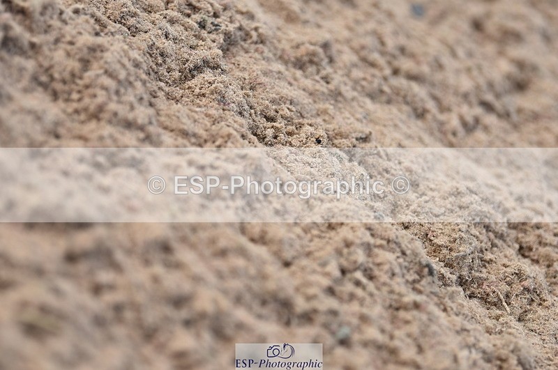 230810A-094148-00120 - Cls 8 British Novice & 90cm Open