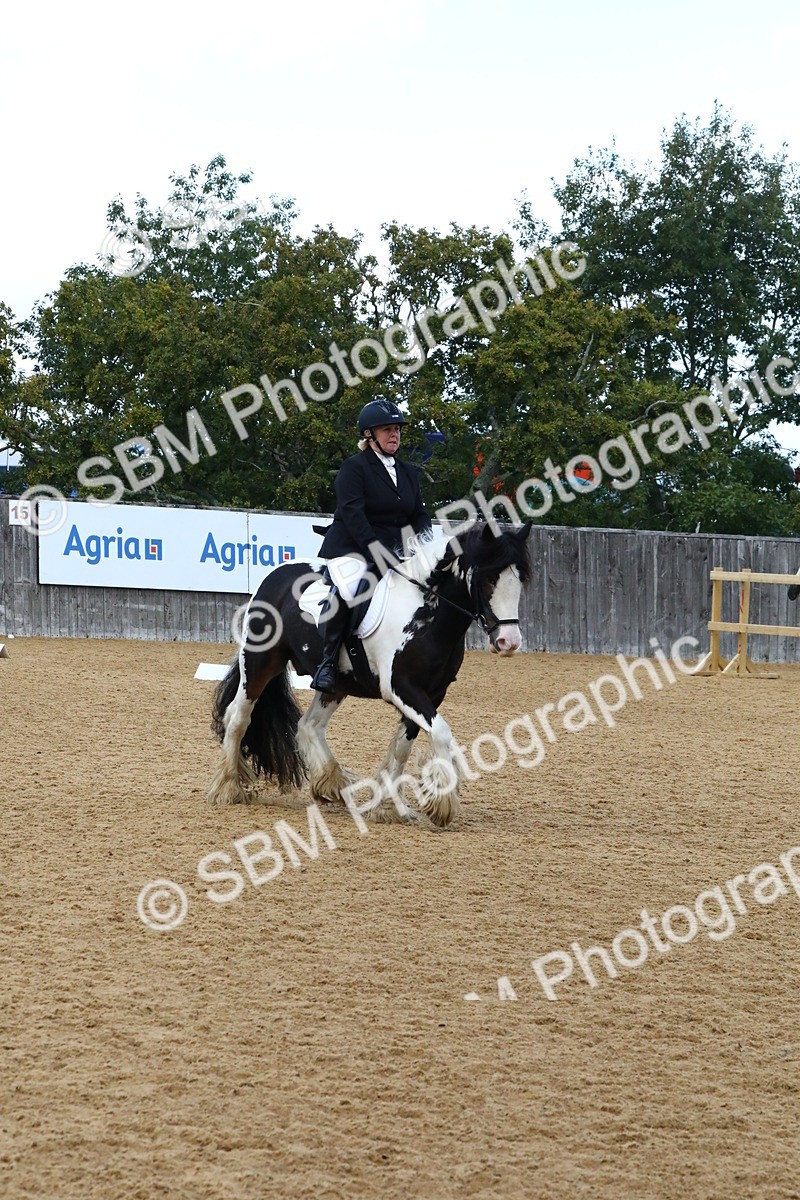 SBM_21027 - D5 - Small Tour Championshop Intro 2