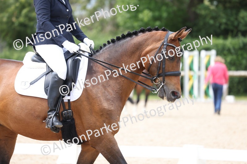 20250604-1052 - Class 7 - Medium 5