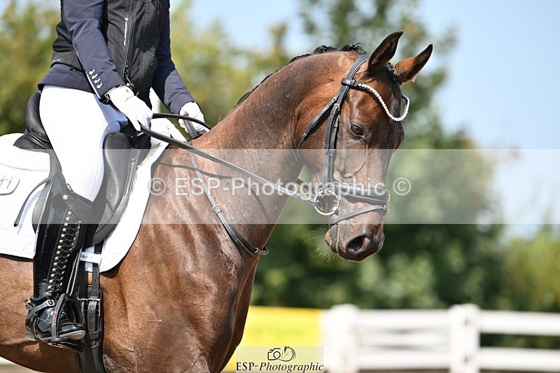 250816-120936-04158 - 101-Zofia.MatyjasikHis.Royal.Finest