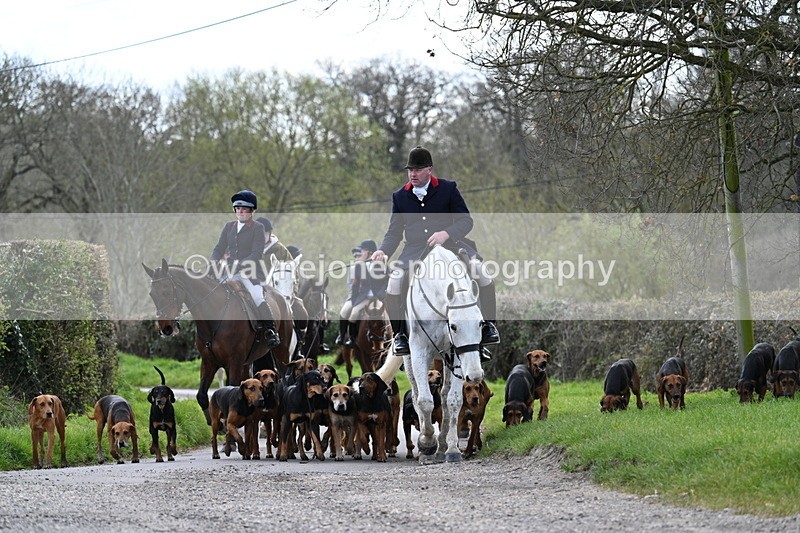 WJ7_9783 - Walk Home