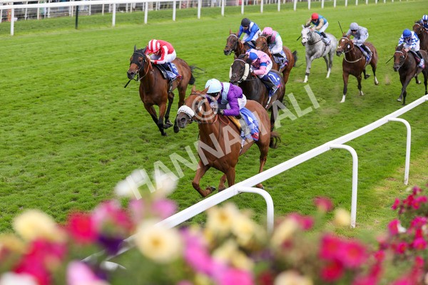 240824-Race 1-See The Fire-8885 - Race 1 1.50pm Sky Bet Strensall Stakes