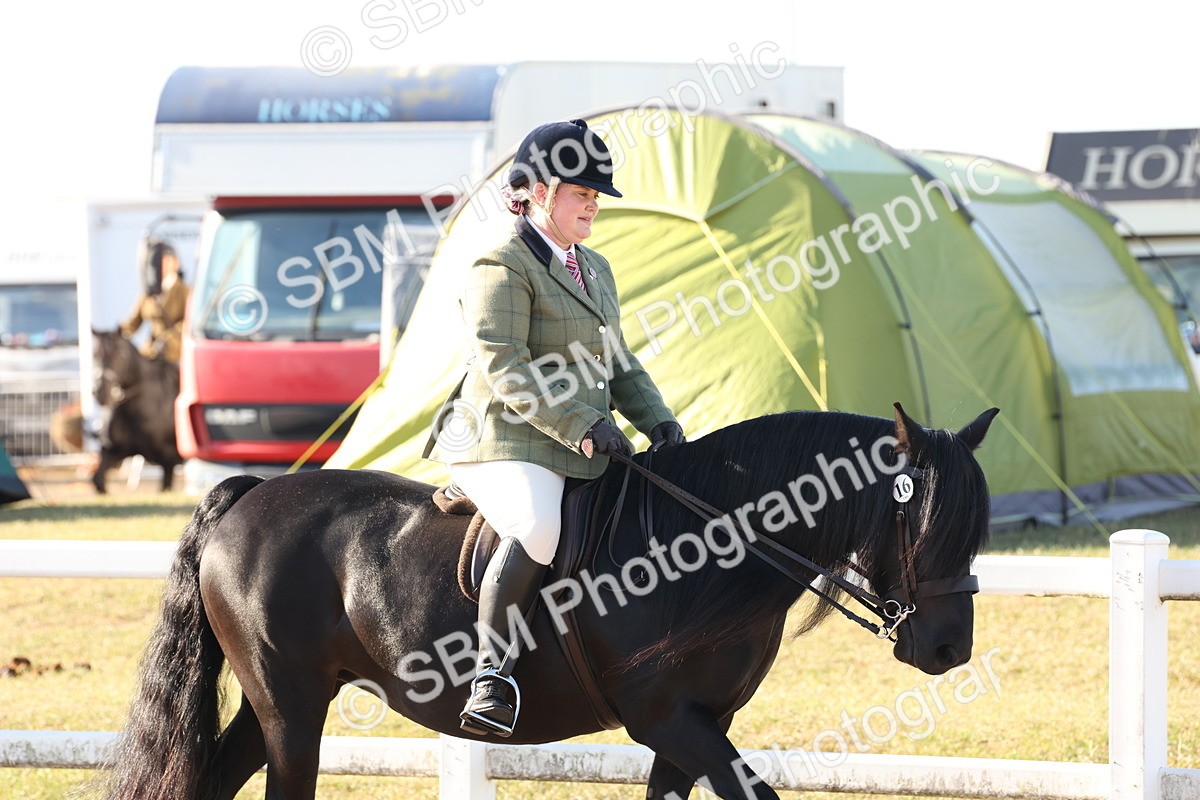 SBM_10819 - Class 202 - Best Turned Out - Ridden