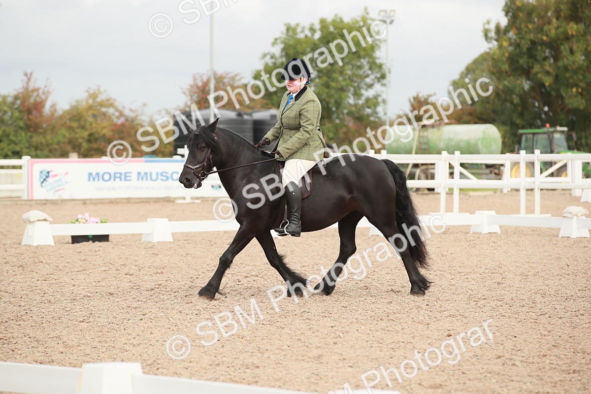 SBM_02545 - Class 30 - Intro 1