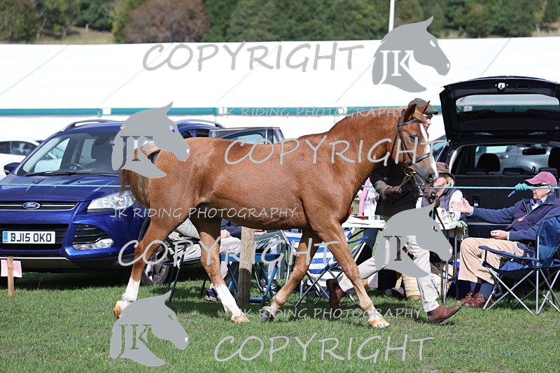 APP_2786 - Class 10a/b M&M in hand