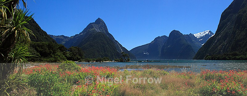 Panorama of Milford Sound showing Mitre Peak, The Lion & Mills Peak - New Zealand